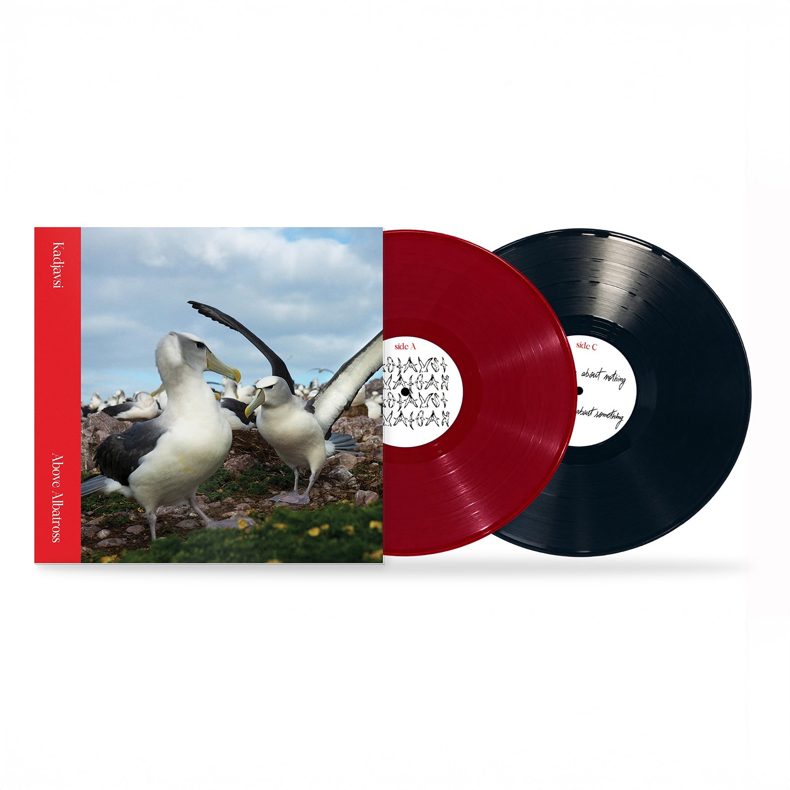 Kadjavsi — Above Albatross